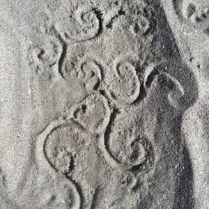 Meet your Posher, Pamela